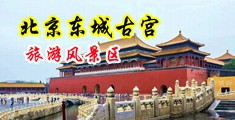 美女性爱嫩屄视频中国北京-东城古宫旅游风景区